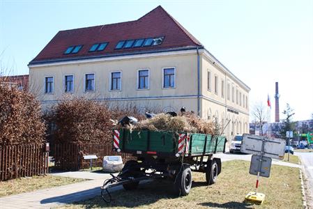 Klub důchodců & Ekocentrum Trkmanka * Jarní úklidová brigáda v zahradách ekocetra