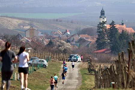BĚH O VELKOPAVLOVICKOU MERUŇKU 2022 * V. ročník