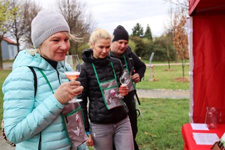 VOC vinice * Putování po vinicích za víny VOC; rok 2022
