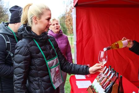 VOC vinice * Putování po vinicích za víny VOC; rok 2022