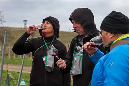 VOC vinice * Putování po vinicích za víny VOC; rok 2022