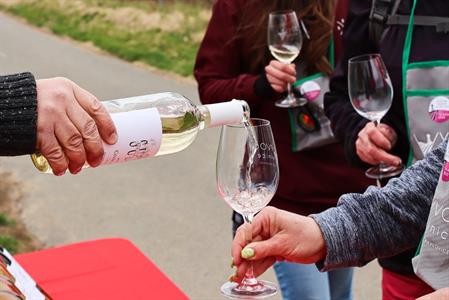 VOC vinice * Putování po vinicích za víny VOC; rok 2022