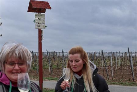 VOC vinice * Putování po vinicích za víny VOC; rok 2022