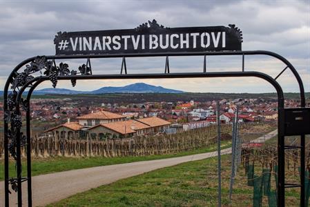 VOC vinice * Putování po vinicích za víny VOC; rok 2022