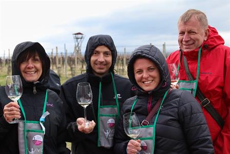 VOC vinice * Putování po vinicích za víny VOC; rok 2022