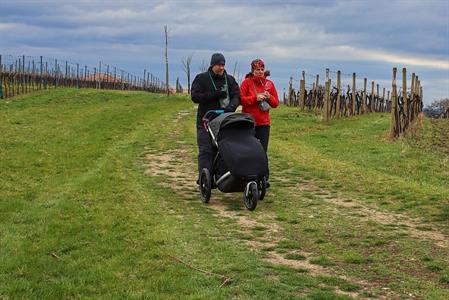 VOC vinice * Putování po vinicích za víny VOC; rok 2022