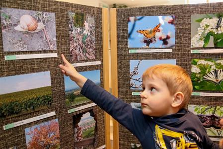 Ekocentrum Trkmanka & MAP Hustopečsko * Vernisáž výstavy ODRAZY – OBRAZY KŘÍDEL & ROSTLINY A ŽIVOČICHOVÉ v blízkosti našeho bydliště