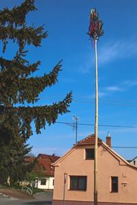 Město Velké Pavlovice * 1. května ozdobily Velké Pavlovice májky