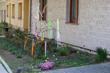 Město Velké Pavlovice * 1. května ozdobily Velké Pavlovice májky