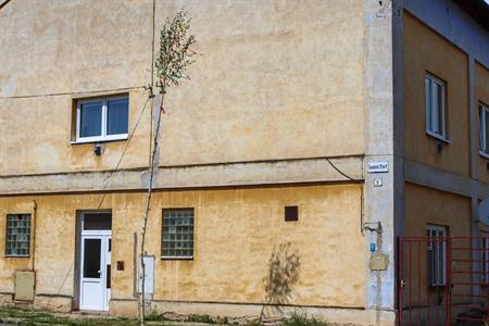 Město Velké Pavlovice * 1. května ozdobily Velké Pavlovice májky