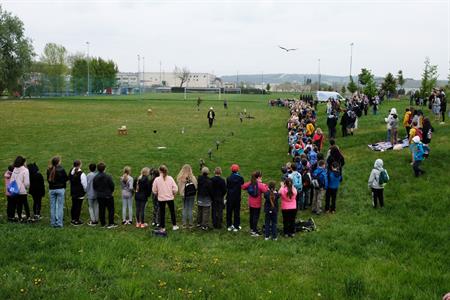 MŠ, ZŠ a gymnázium * Společnost Zayferus - Ukázky letu dravců