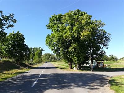 Město Velké Pavlovice * Nové cykloturistické orientační mapy města Velké Pavlovice