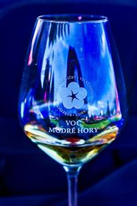 Modré Hory * Krajem vína - Májové putování okolím Modrých Hor & Přehlídka soutěže 30 vín Modrých Hor