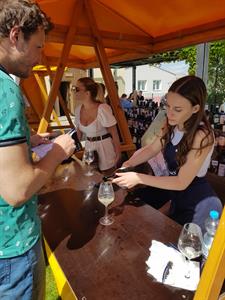 Modré Hory * Krajem vína - Májové putování okolím Modrých Hor & Přehlídka soutěže 30 vín Modrých Hor