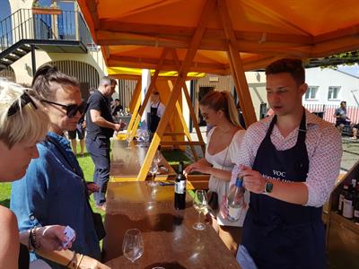 Modré Hory * Krajem vína - Májové putování okolím Modrých Hor & Přehlídka soutěže 30 vín Modrých Hor