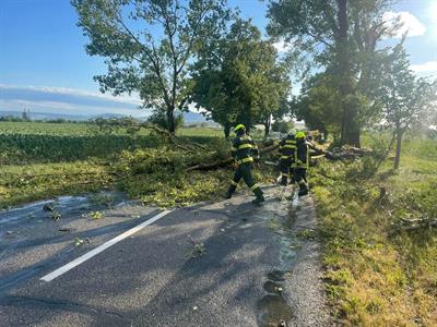SDH * Zásah po bouřce - odstraňování popadaných stromů, pondělí 13. černa 2022