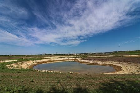 Město Velké Pavlovice * Rybník na Záblatské obsadili tenkozobci