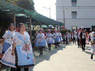 Folkor ve městě * HODY 2022 - Úterní hodový průvod? Záplava bílé a konec v nedohlednu