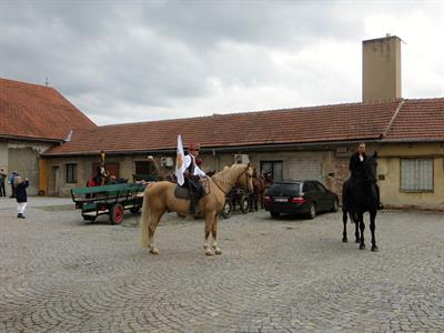 Město Velké Pavlovice * VELKOPAVLOVICKÉ VINOBRANÍ 2022