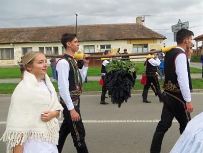 Město Velké Pavlovice * VELKOPAVLOVICKÉ VINOBRANÍ 2022