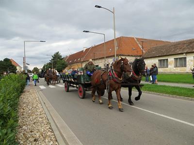 Město Velké Pavlovice * VELKOPAVLOVICKÉ VINOBRANÍ 2022