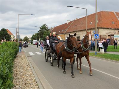 Město Velké Pavlovice * VELKOPAVLOVICKÉ VINOBRANÍ 2022