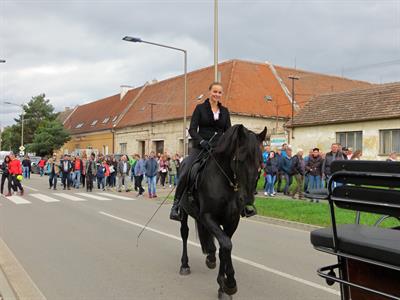 Město Velké Pavlovice * VELKOPAVLOVICKÉ VINOBRANÍ 2022