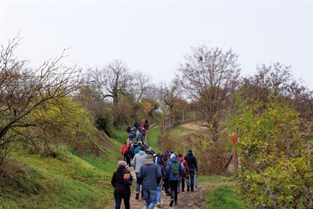 Okrašlovací spolek * PODZIMNÍ ŠLAPKA roku 2022, turistická sezóna uzavřena