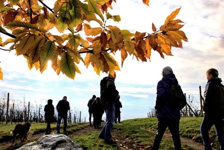 Okrašlovací spolek * PODZIMNÍ ŠLAPKA roku 2022, turistická sezóna uzavřena