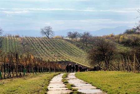 Okrašlovací spolek * PODZIMNÍ ŠLAPKA roku 2022, turistická sezóna uzavřena