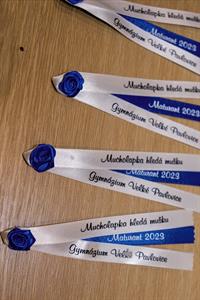 Gymnázium * Slavnostní stužkování maturantů roku 2023