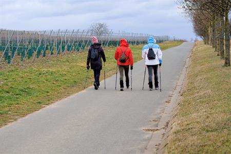 Sport * Jarní lekce nordic walking s Kačkou okolo rozhledny Slunečná