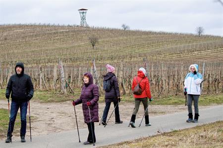 Sport * Jarní lekce nordic walking s Kačkou okolo rozhledny Slunečná