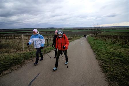 Sport * Jarní lekce nordic walking s Kačkou okolo rozhledny Slunečná