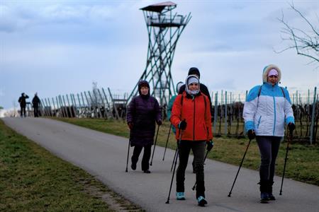 Sport * Jarní lekce nordic walking s Kačkou okolo rozhledny Slunečná