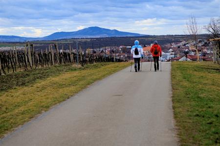 Sport * Jarní lekce nordic walking s Kačkou okolo rozhledny Slunečná