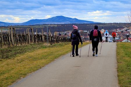 Sport * Jarní lekce nordic walking s Kačkou okolo rozhledny Slunečná