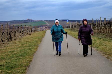 Sport * Jarní lekce nordic walking s Kačkou okolo rozhledny Slunečná