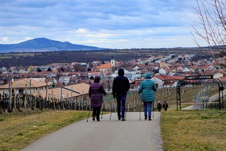 Sport * Jarní lekce nordic walking s Kačkou okolo rozhledny Slunečná