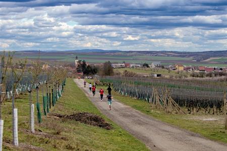 Sport * BĚH O VELKOPAVLOVICKOU MERUŇKU 2023 * VI. ročník