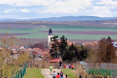 Sport * BĚH O VELKOPAVLOVICKOU MERUŇKU 2023 * VI. ročník
