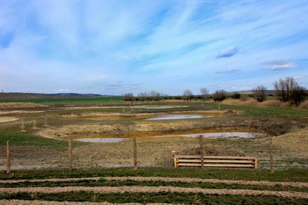 Město Velké Pavlovice * Biocentrum Záblatská v roce 2023