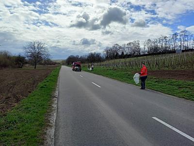 Město Velké Pavlovice * Velký jarní úklid města Velké Pavlovice