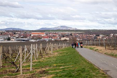 Město Velké Pavlovice * Velký jarní úklid města Velké Pavlovice