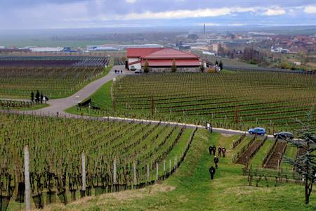 Vinařské akce * Putování vinicemi za víny VOC 2023; III. ročník