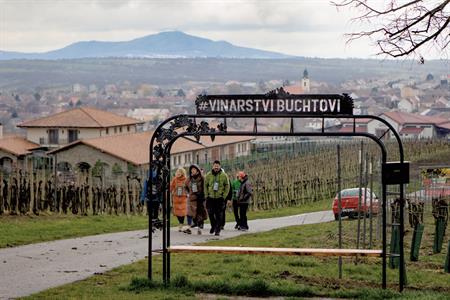 Vinařské akce * Putování vinicemi za víny VOC 2023; III. ročník