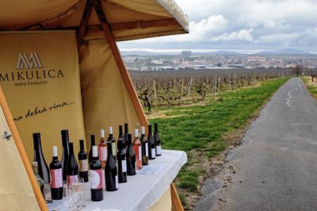 Vinařské akce * Putování vinicemi za víny VOC 2023; III. ročník