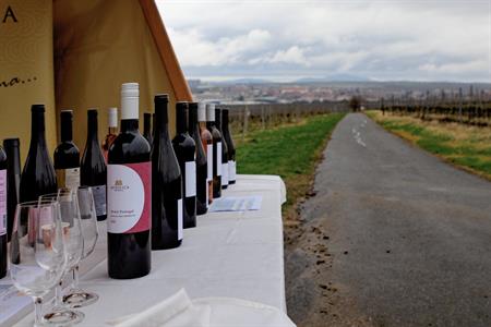Vinařské akce * Putování vinicemi za víny VOC 2023; III. ročník