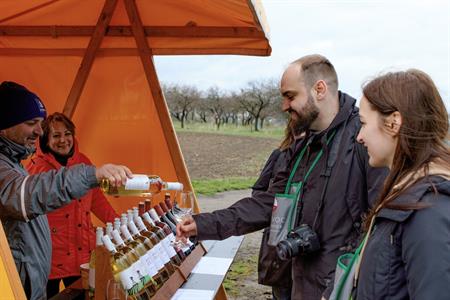 Vinařské akce * Putování vinicemi za víny VOC 2023; III. ročník