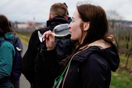 Vinařské akce * Putování vinicemi za víny VOC 2023; III. ročník